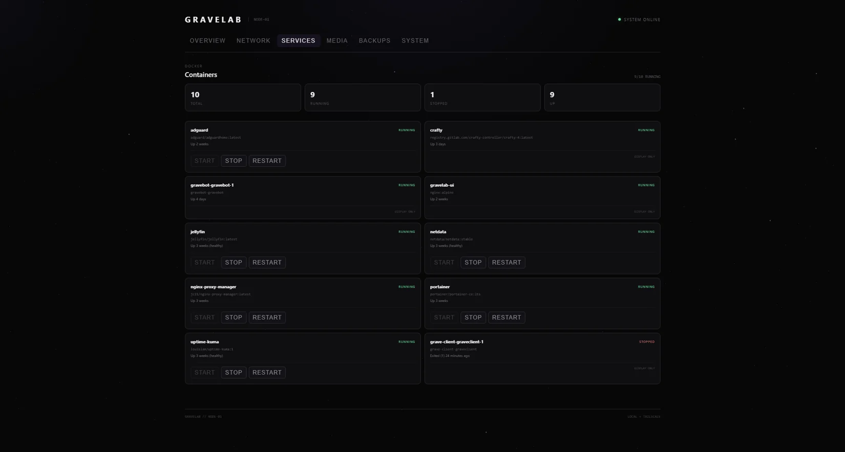 Screenshot of the GraveLab services dashboard